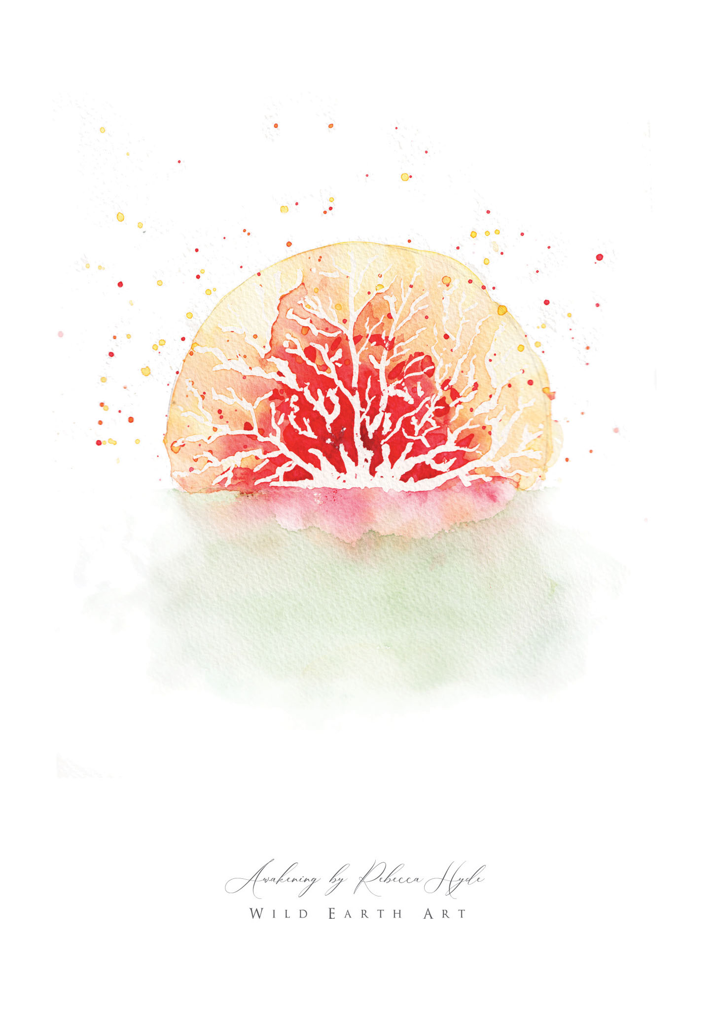 Awakening-Watercolour-Painting-Watercolour-Artist-Oxfordshire-Rebecca-Hyde-©-Wild-Earth-Art
