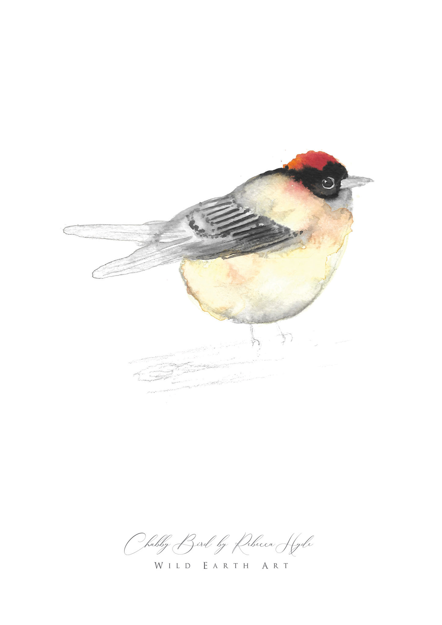 Chubby-bird-Watercolour-Painting-Watercolour-Artist-Oxfordshire-Rebecca-Hyde-©-Wild-Earth-Art