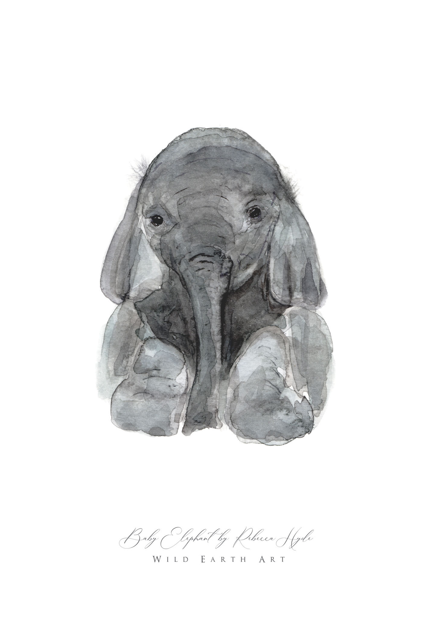 Elephant-Watercolour-Painting-Watercolour-Artist-Oxfordshire-Rebecca-Hyde-©-Wild-Earth-Art
