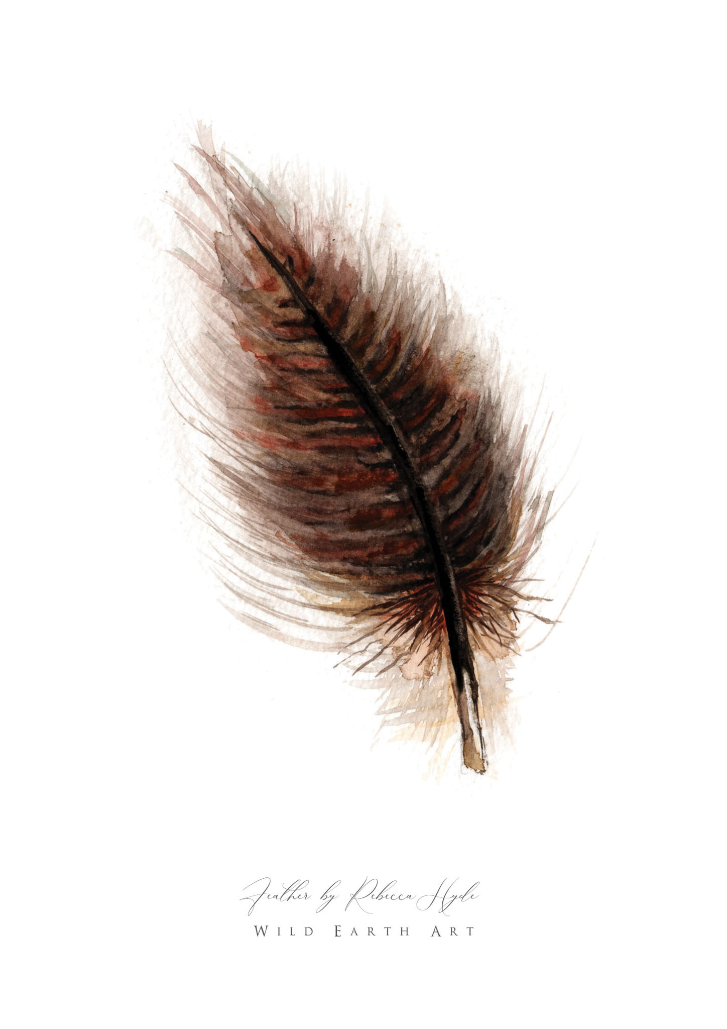 Feather-Watercolour-Painting-Watercolour-Artist-Oxfordshire-Rebecca-Hyde-©-Wild-Earth-Art