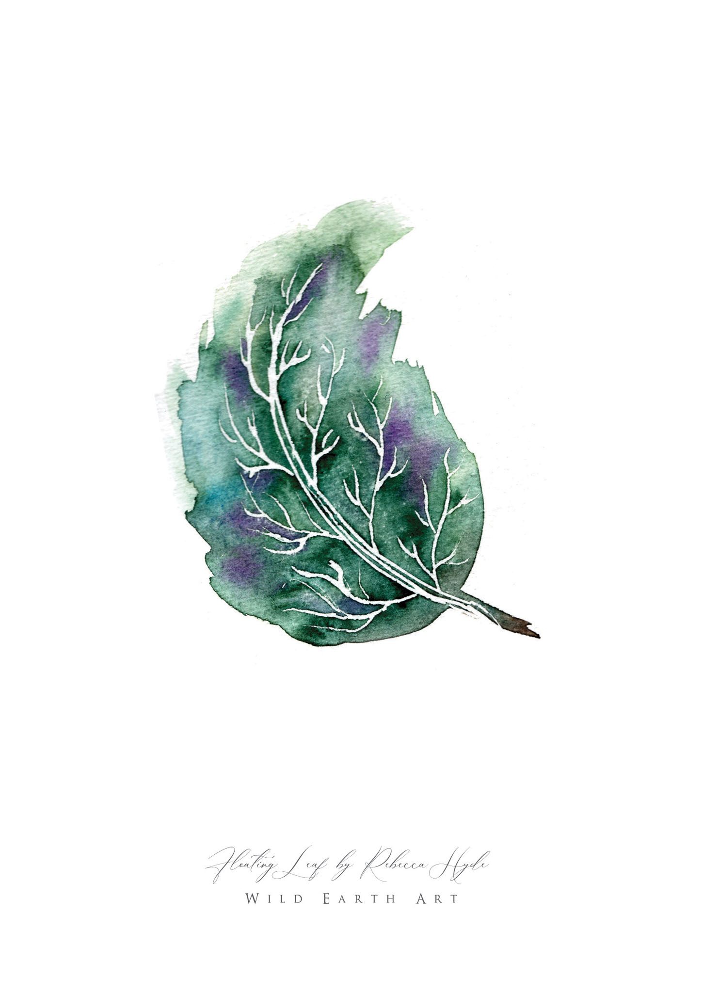 Floating-Leaf-Watercolour-Painting-Watercolour-Artist-Oxfordshire-Rebecca-Hyde-©-Wild-Earth-Art