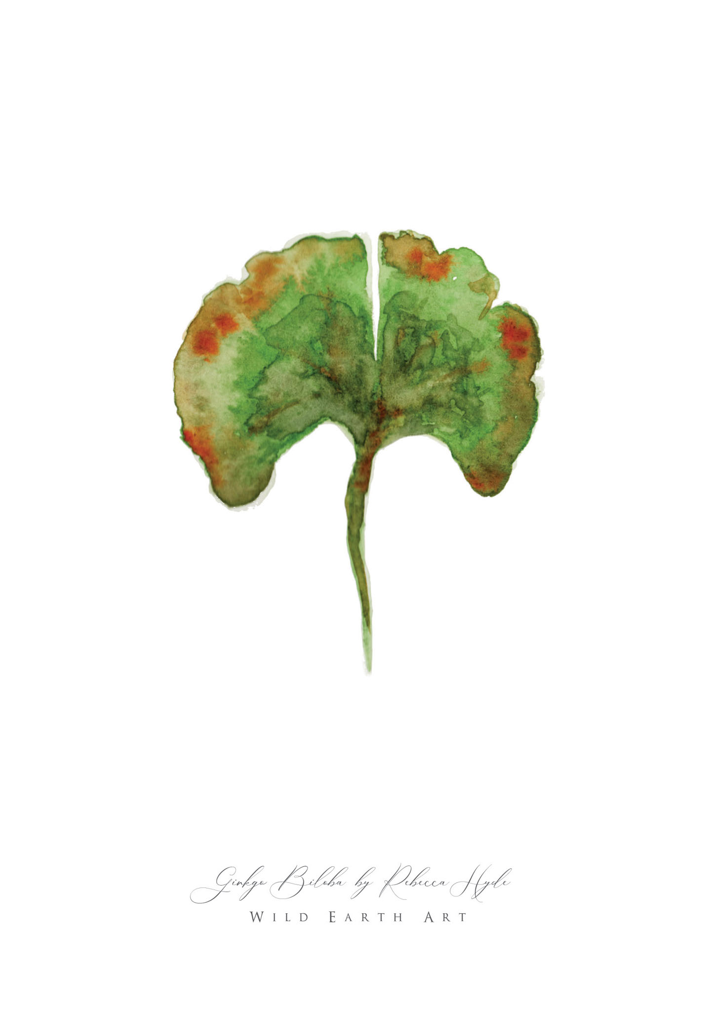 Ginkgo-Watercolour-Painting-Watercolour-Artist-Oxfordshire-Rebecca-Hyde-©-Wild-Earth-Art