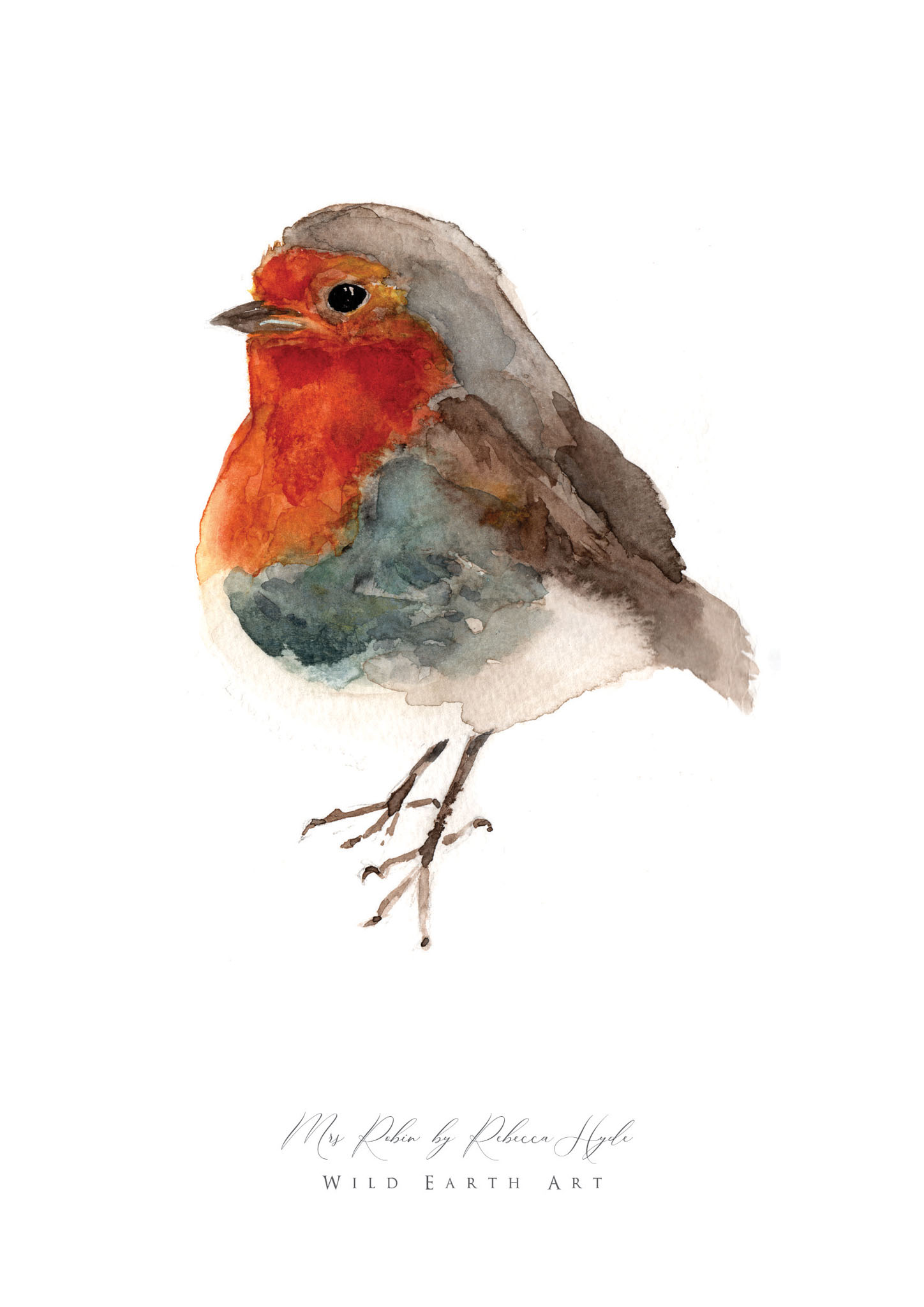Mrs-Robin-Watercolour-Painting-Watercolour-Artist-Oxfordshire-Rebecca-Hyde-©-Wild-Earth-Art