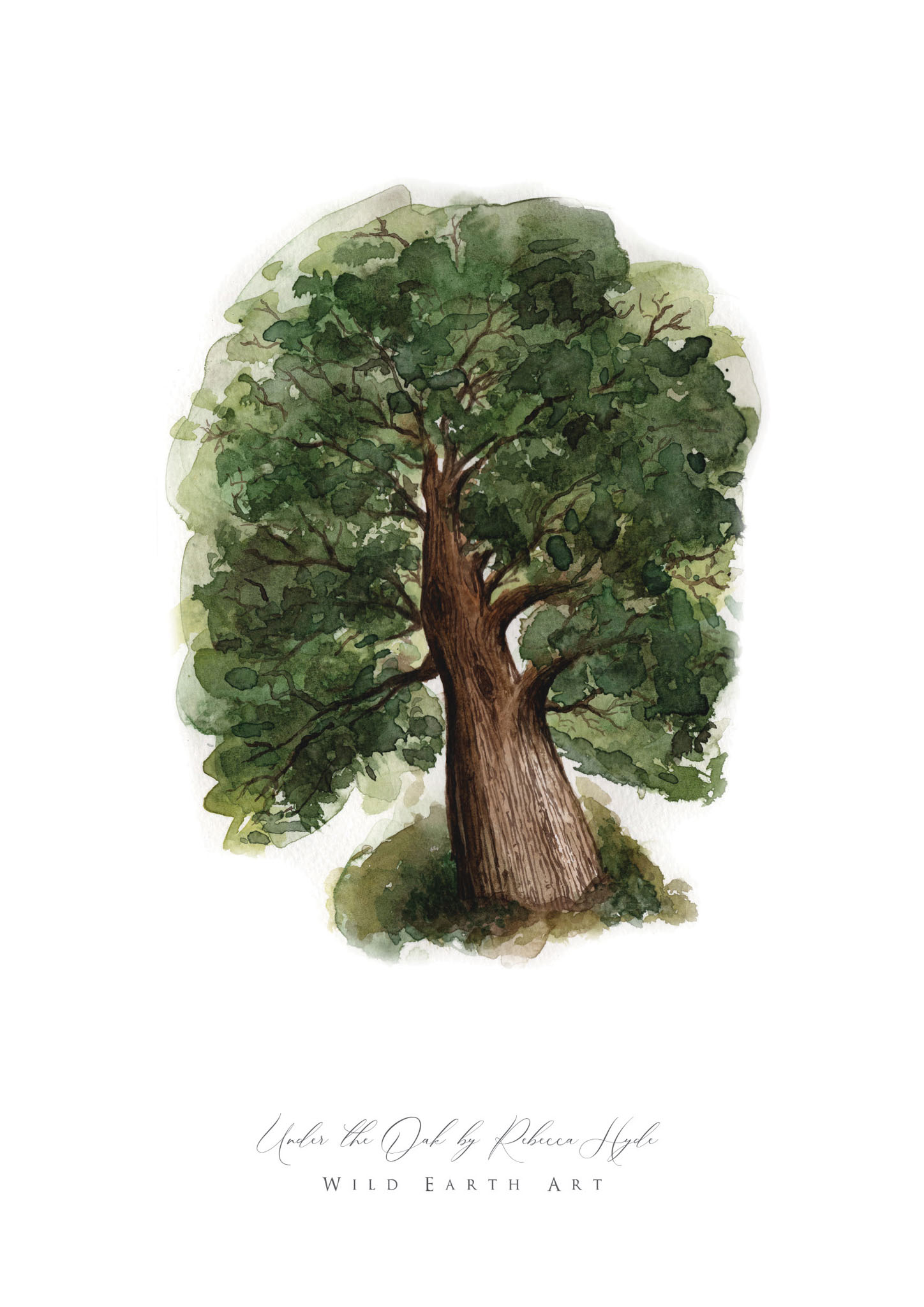 Oak-tree-Watercolour-Painting-Watercolour-Artist-Oxfordshire-Rebecca-Hyde-©-Wild-Earth-Art