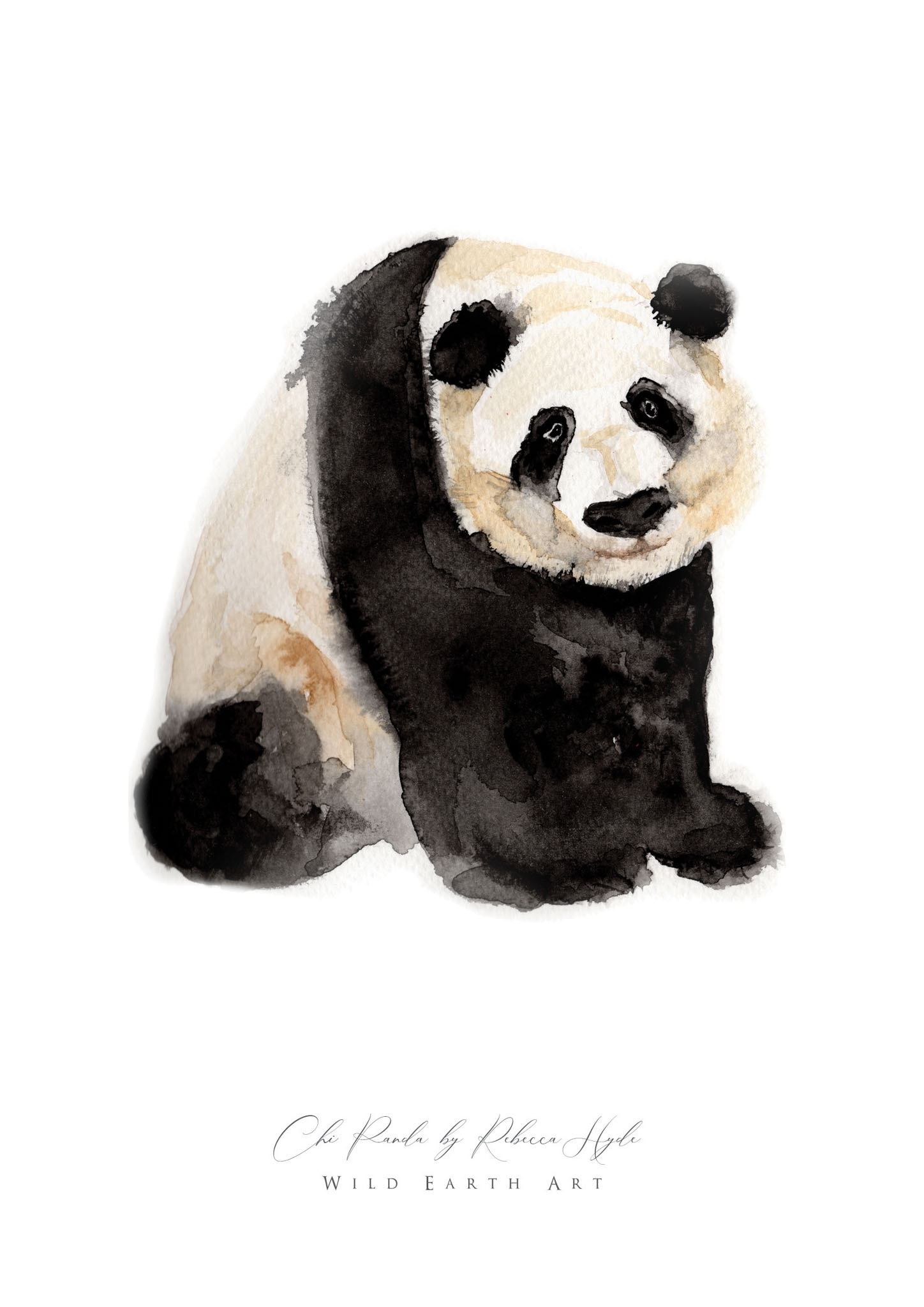 Panda-Watercolour-Painting-Watercolour-Artist-Oxfordshire-Rebecca-Hyde-©-Wild-Earth-Art