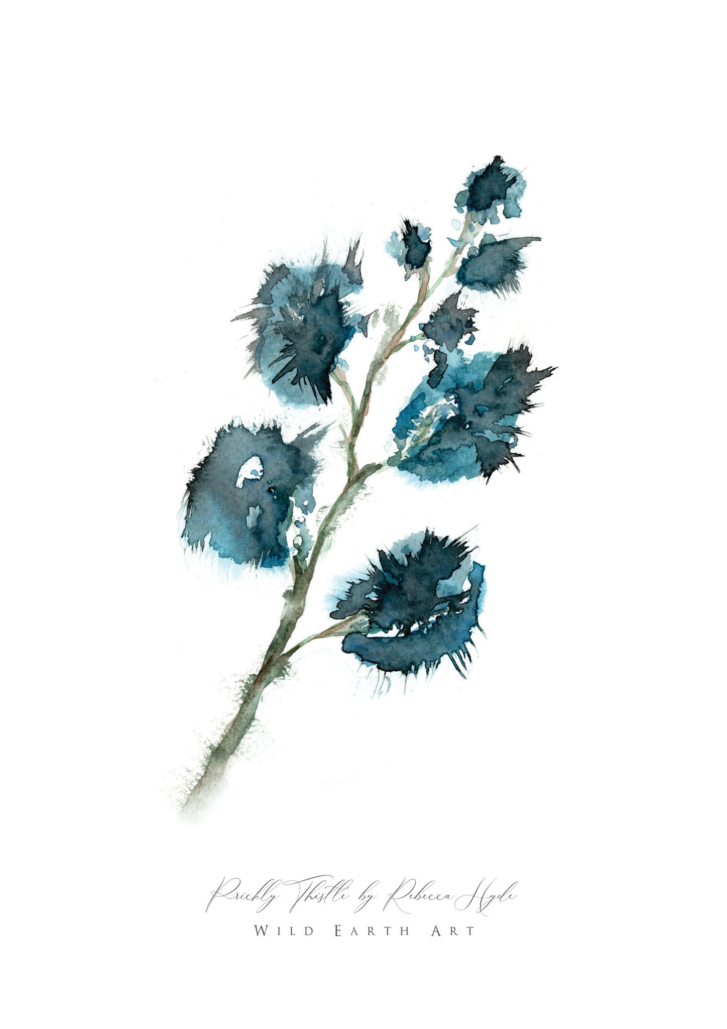 Prickly-Thistle-Watercolour-Painting-Watercolour-Artist-Oxfordshire-Rebecca-Hyde-©-Wild-Earth-Art