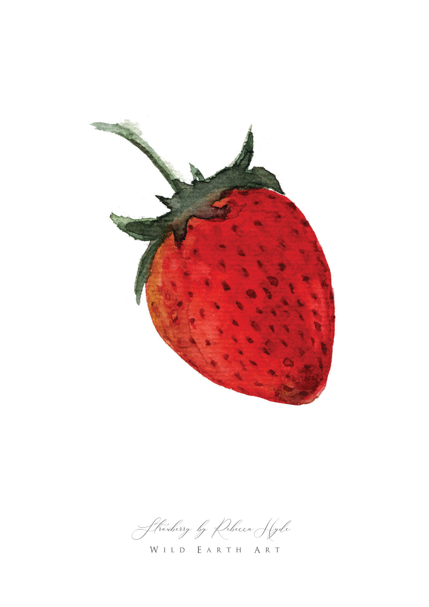 Strawberry-Watercolour-Painting-Watercolour-Artist-Oxfordshire-Rebecca-Hyde-©-Wild-Earth-Art