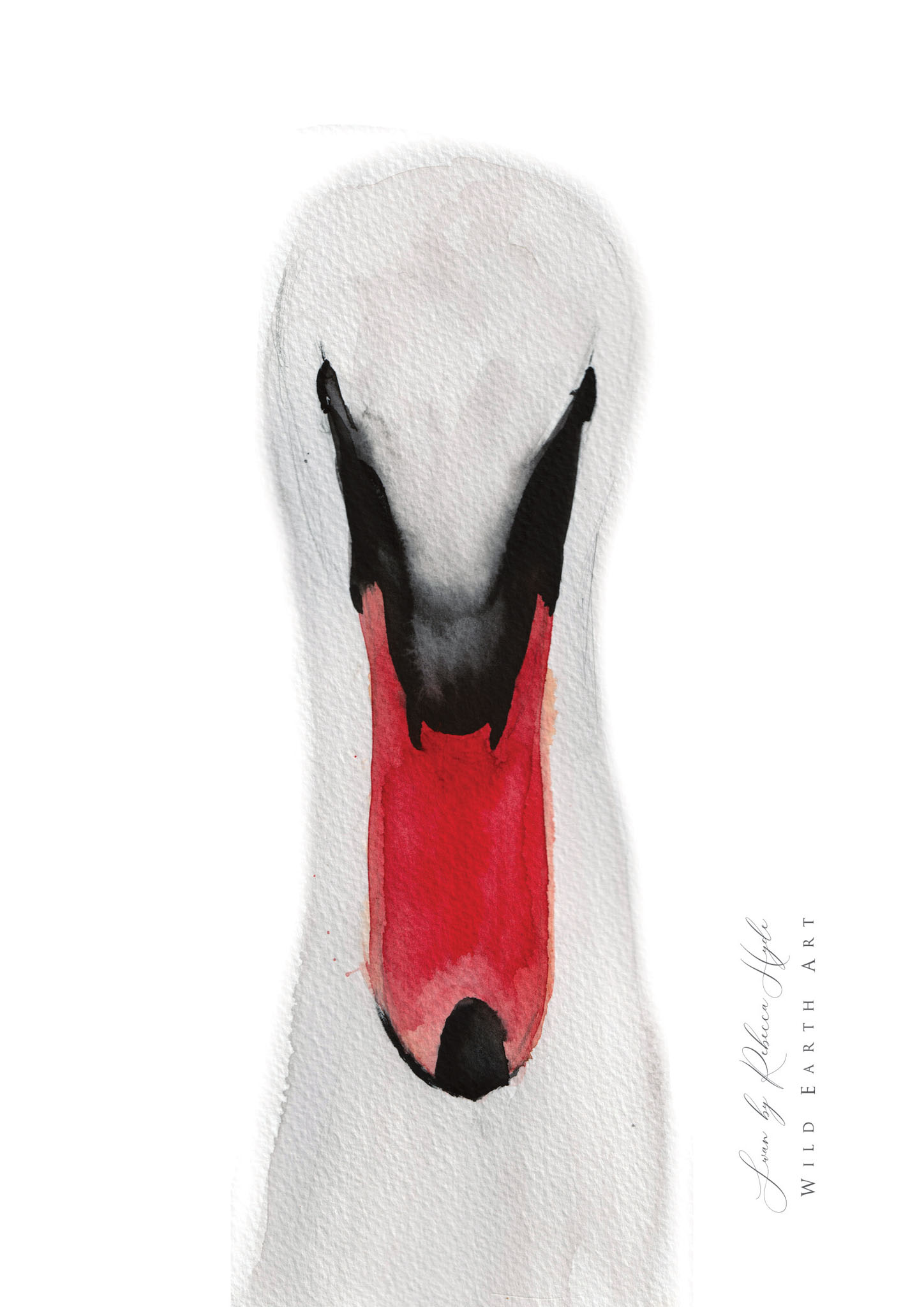 Swan-Watercolour-Painting-Watercolour-Artist-Oxfordshire-Rebecca-Hyde-©-Wild-Earth-Art