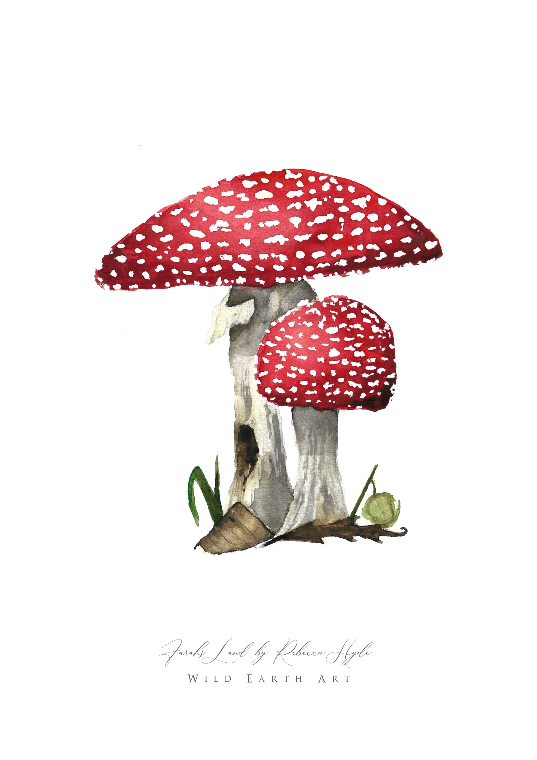 Farahs Land Love Wild Earth Art - Rebecca Hyde (RH) Watercolour Painting, Watercolour Artist - Art Oxfordshire. Watercolour Painting Botanical, Nature and Animal Artist, Bird Art, Inspired by Nature