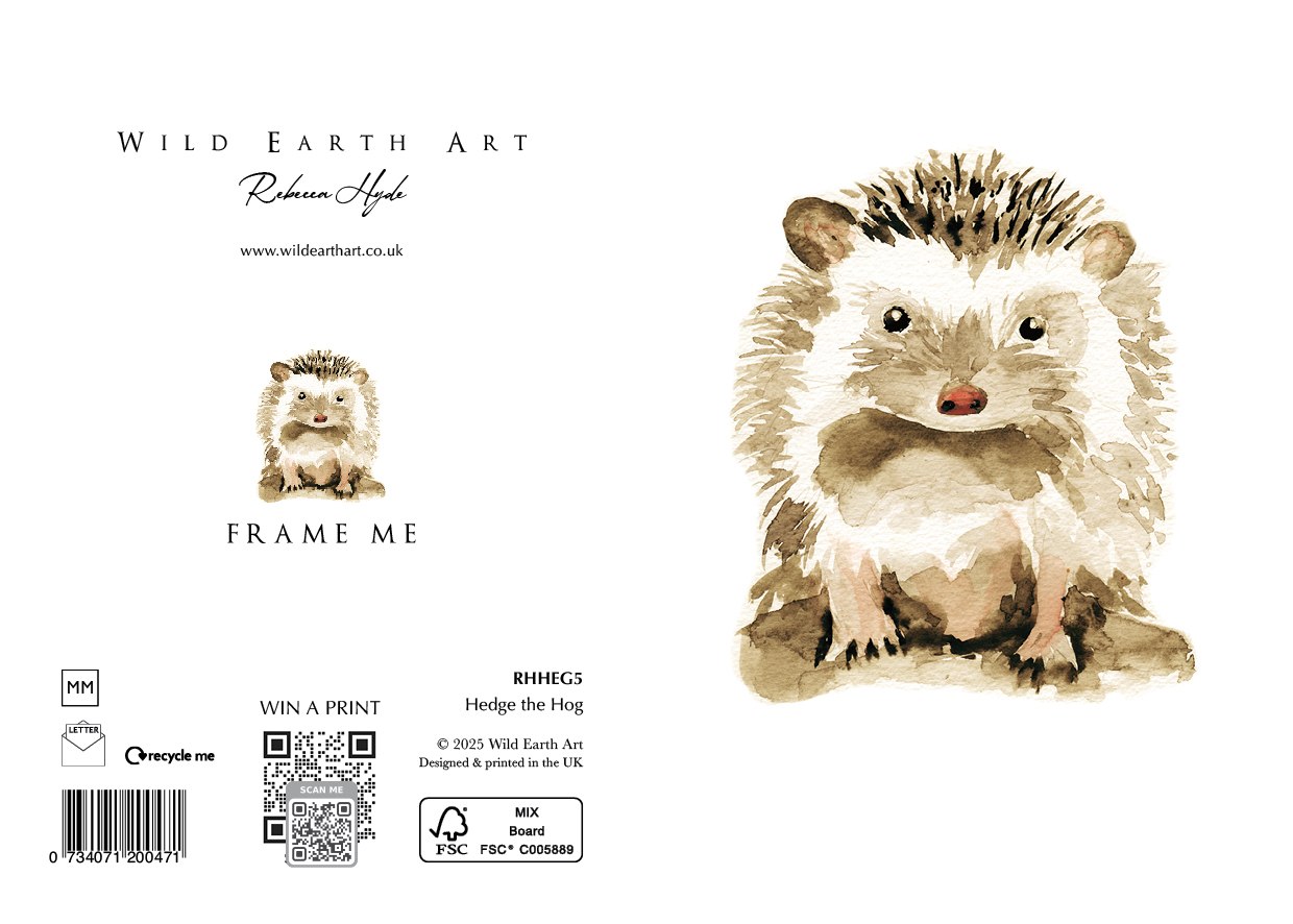 RHHEG5 Hedge the Hog - Watercolour painting greeting card. nature-inspired design from the Wild Earth Art collection by Rebecca Hyde. Wholesale Greeting cards, Watercolour Painting Artist - Greeting Card Art, Watercolour Painting Botanical, Nature and Animal Artist - Art