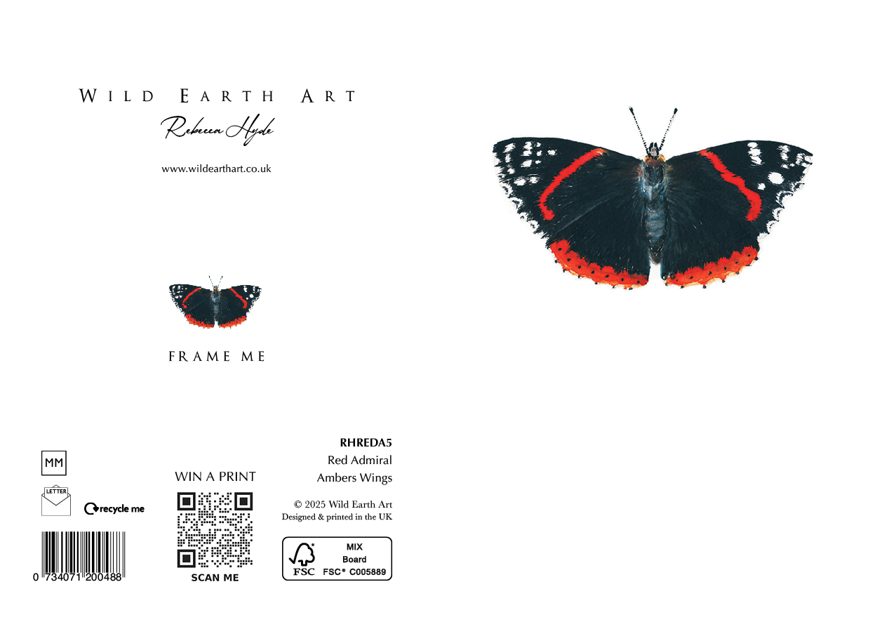 Red Admiral - Ambers Wings. Watercolour painting greeting card. nature-inspired design from the Wild Earth Art collection by Rebecca Hyde. Wholesale Greeting cards, Watercolour Painting Artist - Greeting Card Art, Watercolour Painting Botanical, Nature and Animal Artist - Art