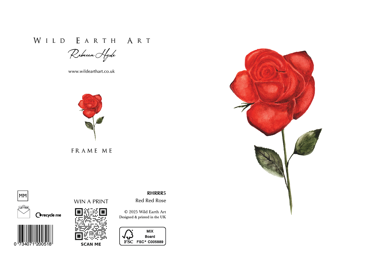 RHRRR5 Red Red Rose. Watercolour painting greeting card. nature-inspired design from the Wild Earth Art collection by Rebecca Hyde. Wholesale Greeting cards, Watercolour Painting Artist - Greeting Card Art, Watercolour Painting Botanical, Nature and Animal Artist - Art