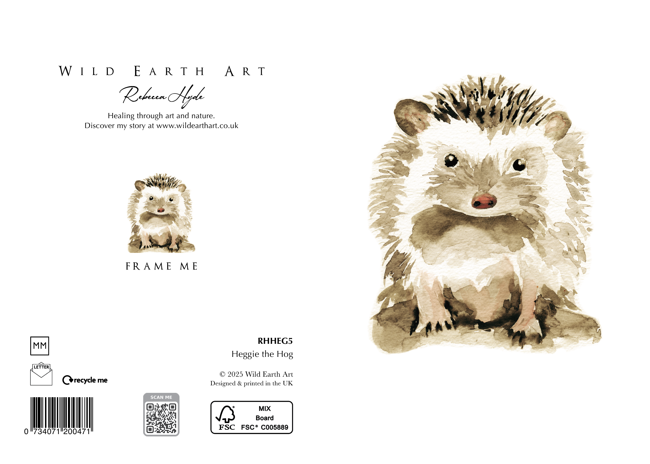 RHHEG5 Hedge the Hog - Watercolour painting greeting card. nature-inspired design from the Wild Earth Art collection by Rebecca Hyde. Wholesale Greeting cards, Watercolour Painting Artist - Greeting Card Art, Watercolour Painting Botanical, Nature and Animal Artist - Art