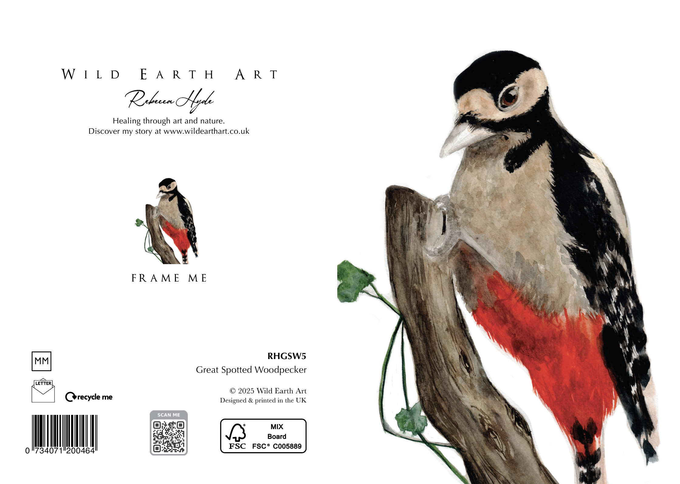 RHGSW5 Great spotted woodpecker - Watercolour painting greeting card. nature-inspired design from the Wild Earth Art collection by Rebecca Hyde. Wholesale Greeting cards, Watercolour Painting Artist - Greeting Card Art, Watercolour Painting Botanical, Nature and Animal Artist - Art