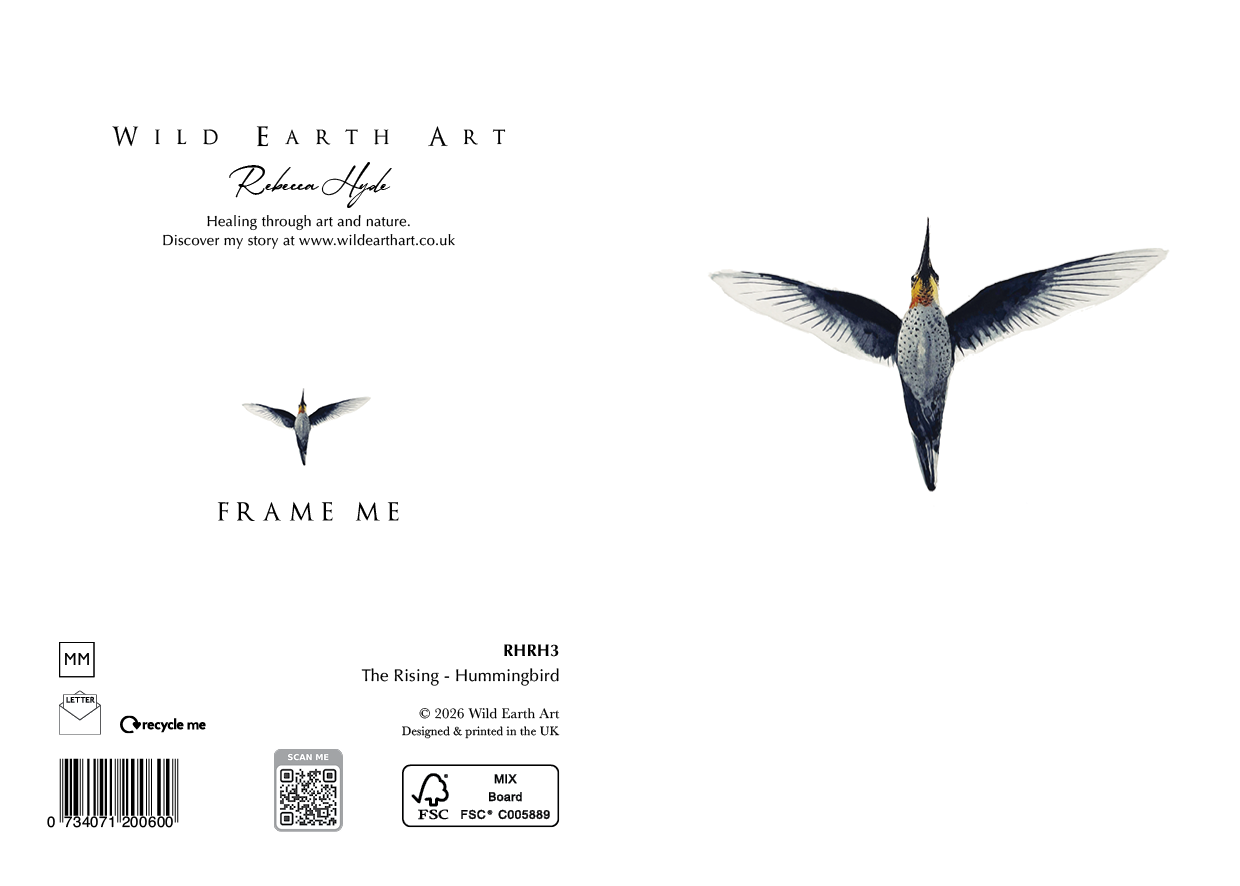 Humming bird Waterolour White Earth Art - Rebecca Hyde, Watercolour Painting Artist - Greeting Card Art & Wrapping, RHRH3 Watercolour Painting Botanical, Nature and Animal Artist - Art